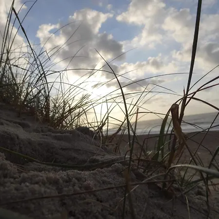 Cozy Renovated - By Traum *