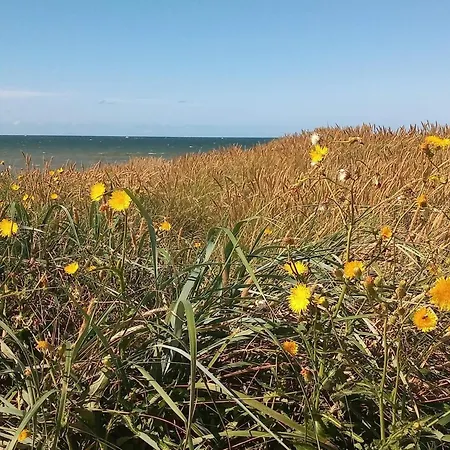 בית נופש Cozy Renovated - By Traum *