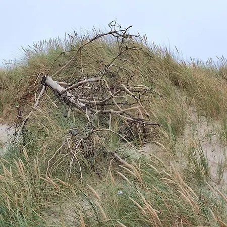 Cozy Renovated - By Traum בית נופש *