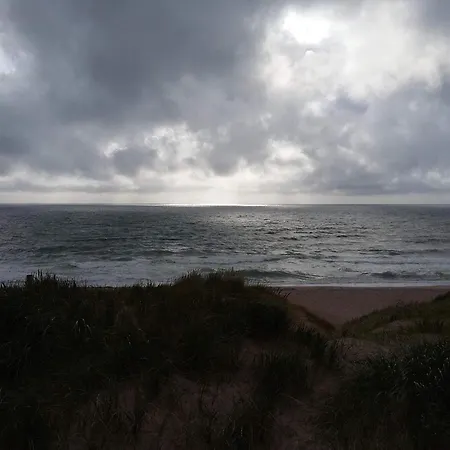 Cozy Renovated - By Traum *