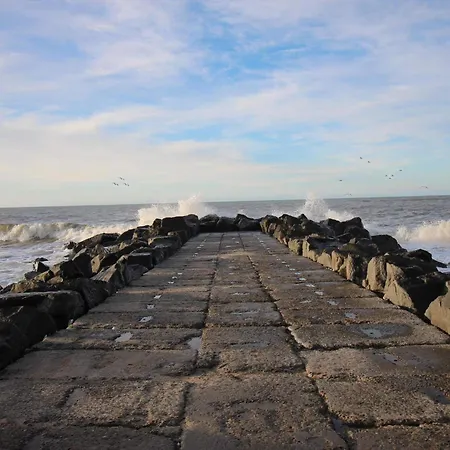 Cozy Renovated - By Traum הרבור